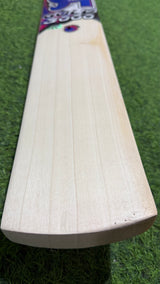 CA Gold 3000 English Willow Cricket bat | 5 Grains - 1170g - 2.7 lb