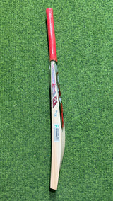 CA Gold 5000 English Willow Cricket Bat-6 Grains 1175g -2.7 lb