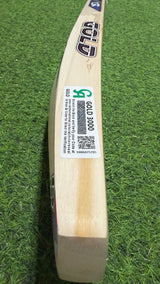 CA Gold 3000 English Willow Cricket bat | 7 Grains - 1175g - 2.7 lb