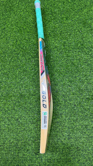 CA Gold 3000 English Willow Cricket bat-5 grains 1250g