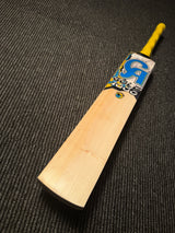 CA GOLD 1000 English Willow Cricket Bat - 7 Grains 1165g