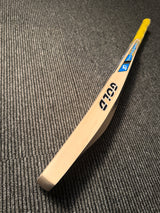CA GOLD 1000 English Willow Cricket Bat - 4 Grains 1225g