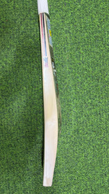 SS Devils Kashmir Willow Cricket Bat | 1220 Grams ( 2.7 lb )