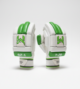 Manager T-20 Cricket batting gloves - Junior- Green