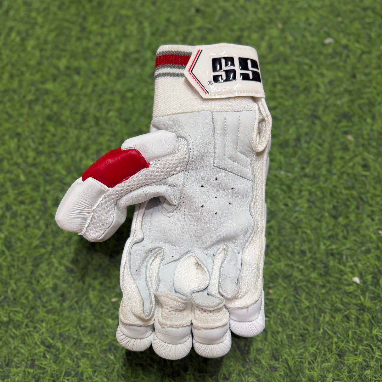 SS Cricket Batting Gloves - Senior