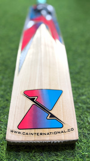 CA Gold 3000 English Willow Cricket bat-6 Grains 1165g ( 2.7 lb )