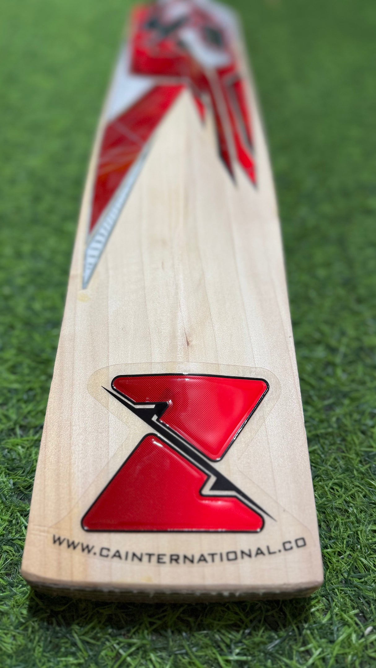 CA Gold 5000 English Willow Cricket Bat-6 Grains 1225 (2.8 lb )