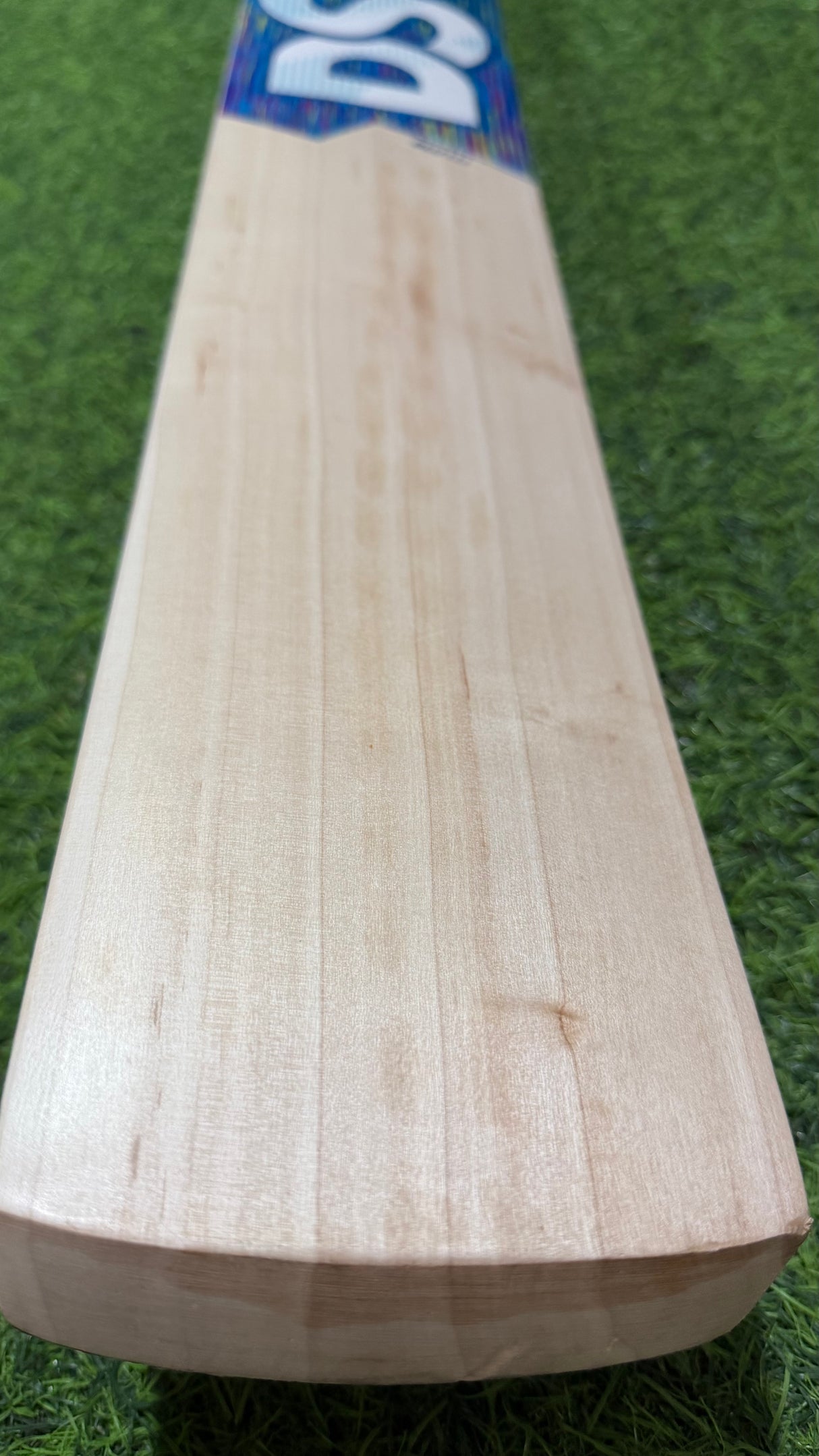 DSC Blu 111 Supreme English willow Cricket Bat - 5 Grains - 1240 g (2.8 lb )