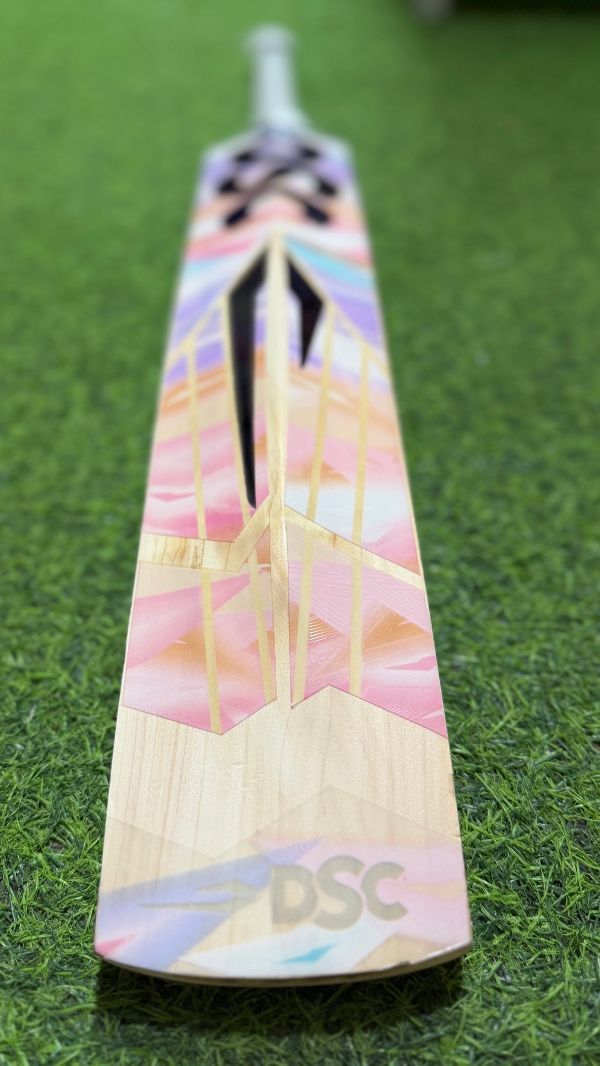 DSC Condor Torrrent - English willow Cricket Bat - 9 Grains - 1195 g