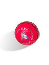 Black Sparrow-Junior cricket leather ball-4 Piece- 142g-Pink-Pack of 6