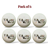 WS Junior cricket leather ball-4 Piece- 142g / White -Pack of 6