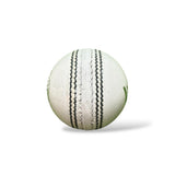 WS Junior cricket leather ball-4 Piece- 142g / White -Pack of 6