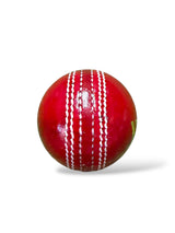 WS Junior cricket leather ball-4 Piece- 142g / RED -Pack of 6