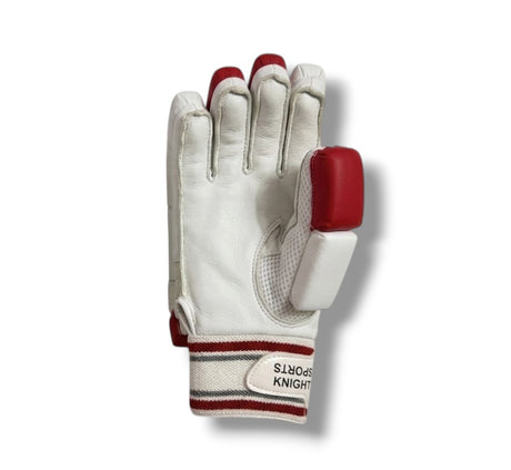 SK T-20 Cricket batting gloves | Red