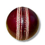 A77 Senior cricket leather ball-4 Piece- 156g-Set of 2 Balls-Red