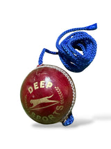 Deep Cricket Hanging Ball