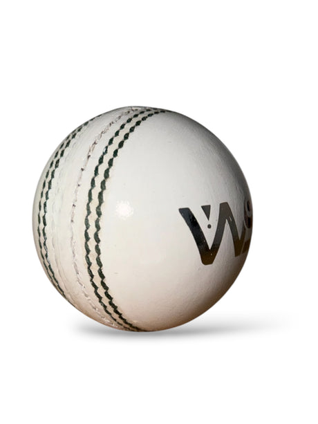 WS Senior cricket leather ball-4 Piece- 156 g / White -Pack of 6