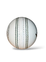 WS Senior Cricket Leather Ball | 2 Piece| 156g | White