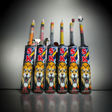 SK Lion Tape-ball Tennis cricket bats