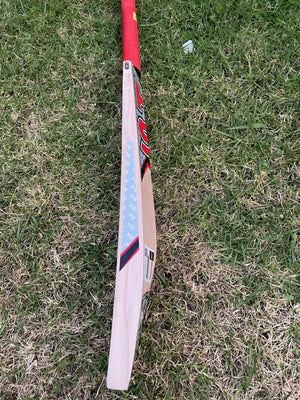 HS CORE-5 ENGLISH WILLOW CRICKET BAT-SH-8 GRAINS-1205g