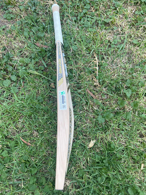 CA Gold 20k Cricket Bat-English Willow-14 Grains-1200g