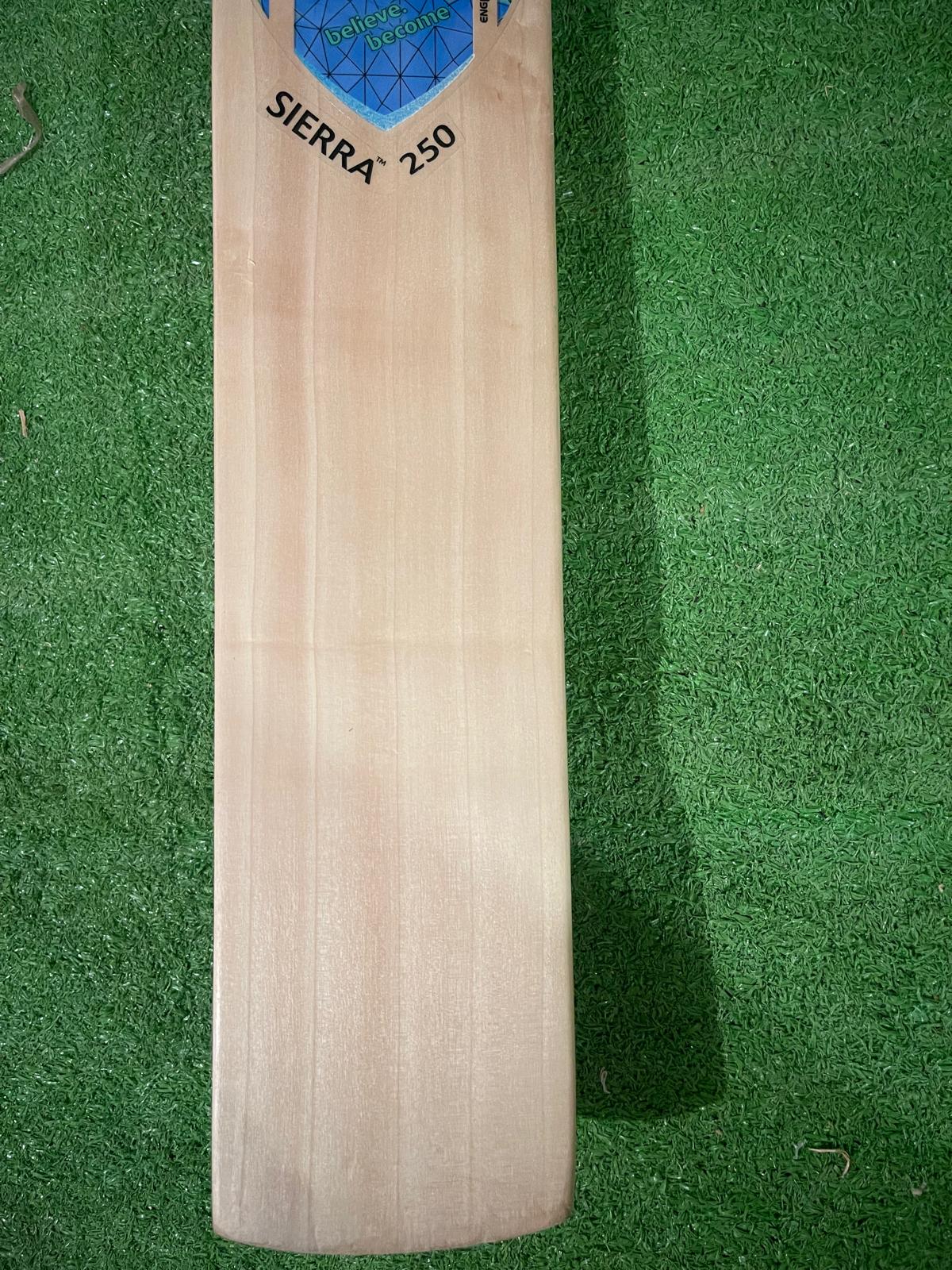 SG Sierra 250 English willow Cricket Bat - 6 Grains - 1150g