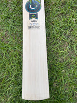 GM AION 606 English Willow Cricket Bat -9 Grains / 1170g-2.7 lb