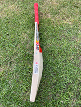CA Pro 8k English Willow Cricket Bat 6 grains / 1215g - 2.7 lb