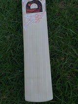 DSC Thumpa 3000 Edition English willow Cricket Bat - 7 Grains - 1220g