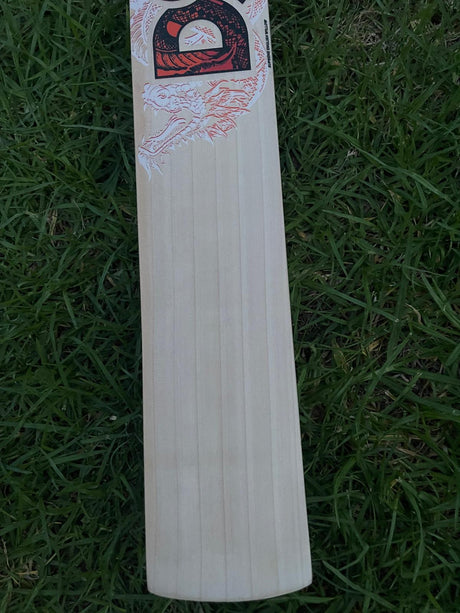 DSC Thumpa 3000 Edition English willow Cricket Bat - 7 Grains - 1220g