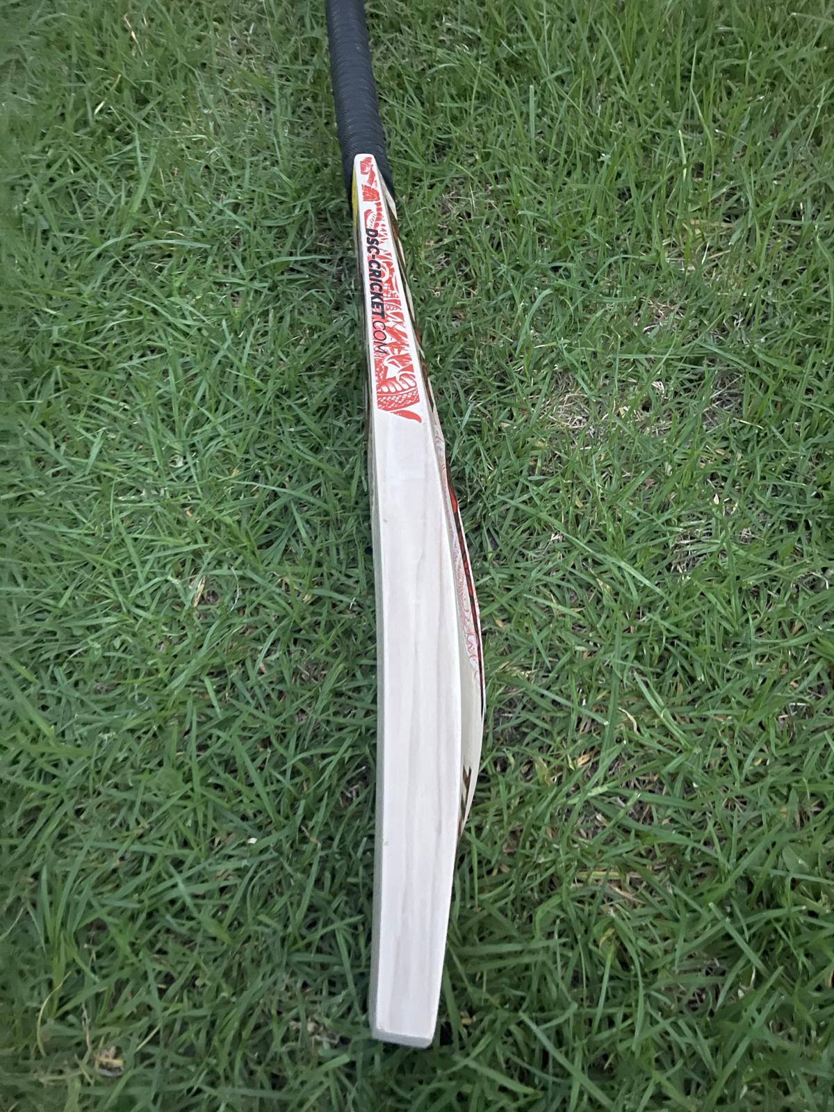 DSC Thumpa 3000 Edition English willow Cricket Bat - 7 Grains - 1220g