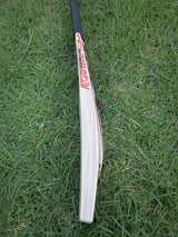 DSC Thumpa 3000 Edition English willow Cricket Bat - 7 Grains - 1220g