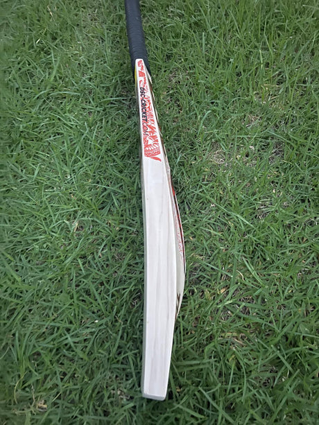 DSC Thumpa 3000 Edition English willow Cricket Bat - 7 Grains - 1220g