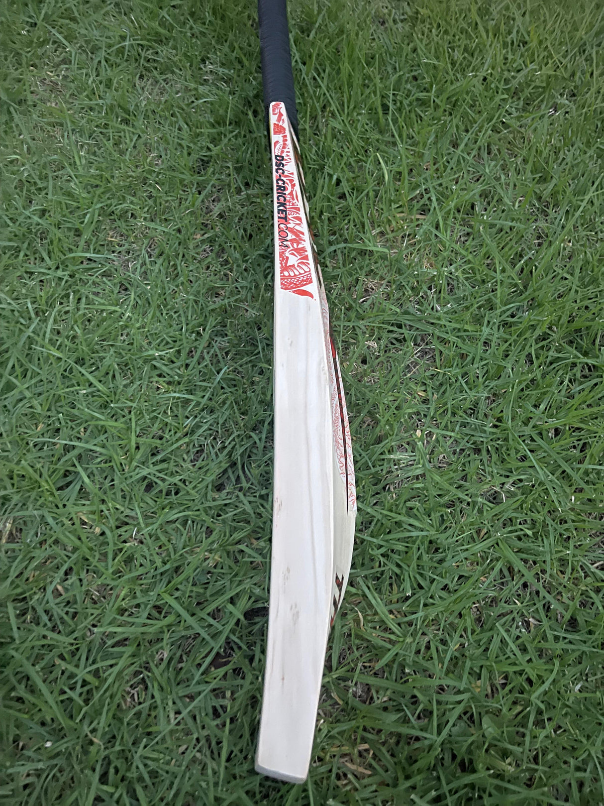 DSC Thumpa 3000 Edition English willow Cricket Bat - 12 Grains - 1250g