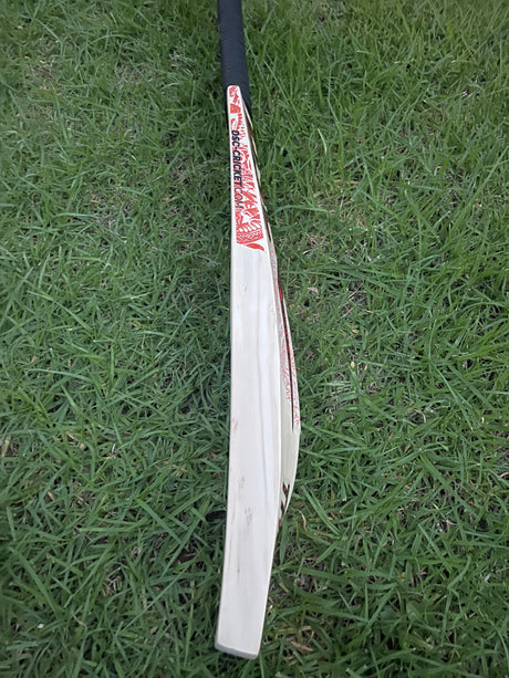 DSC Thumpa 3000 Edition English willow Cricket Bat - 12 Grains - 1250g