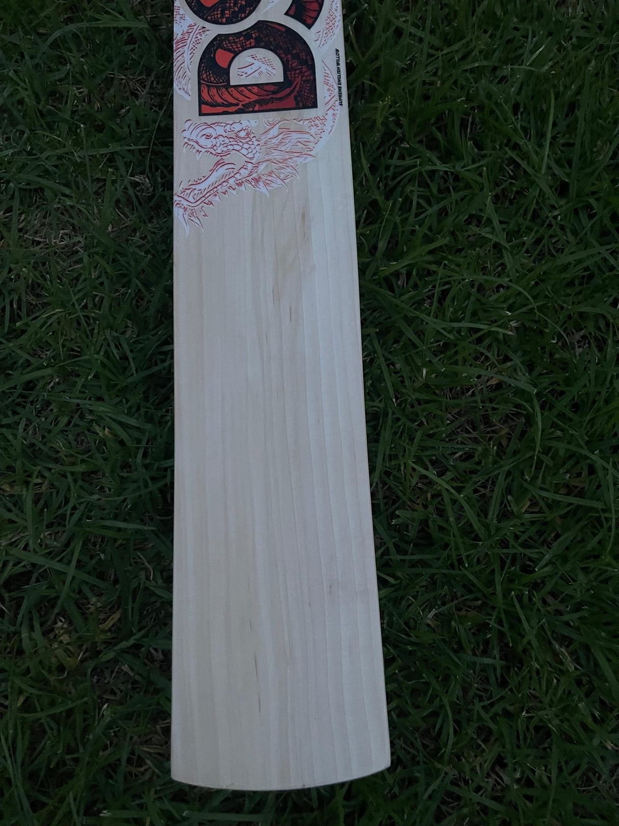 DSC Thumpa 4000 Edition English willow Cricket Bat - 10 Grains - 1235g