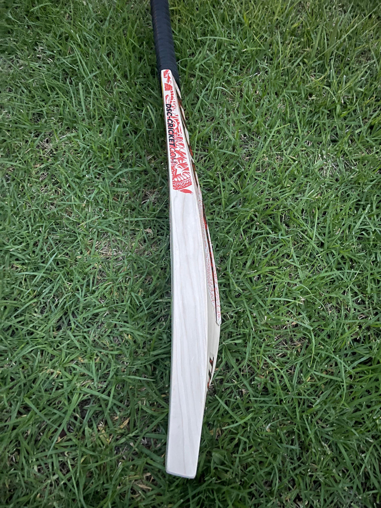 DSC Thumpa 4000 Edition English willow Cricket Bat - 10 Grains - 1235g