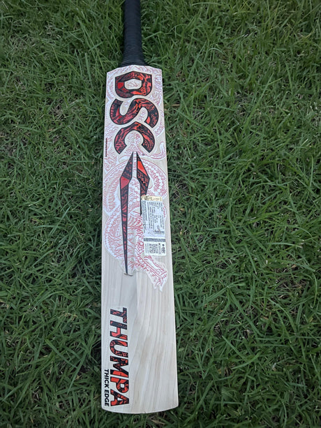 DSC Thumpa 4000 Edition English willow Cricket Bat - 10 Grains - 1235g