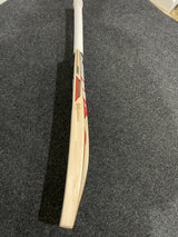DSC Intense Attitude English willow Cricket Bat - 1170g
