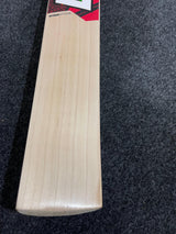 DSC Intense Attitude English willow Cricket Bat - 1170g