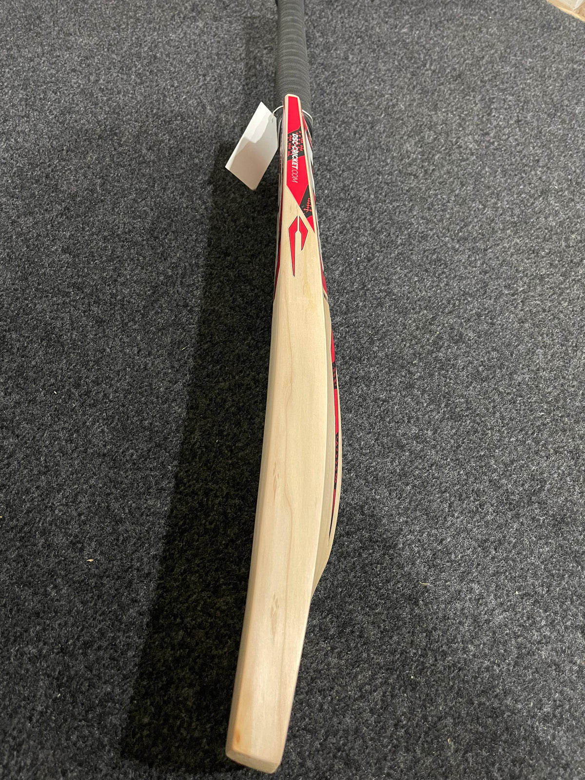 DSC Intense Attitude English willow Cricket Bat - 1170g