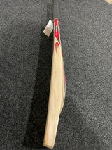 DSC Intense Attitude English willow Cricket Bat - 1170g