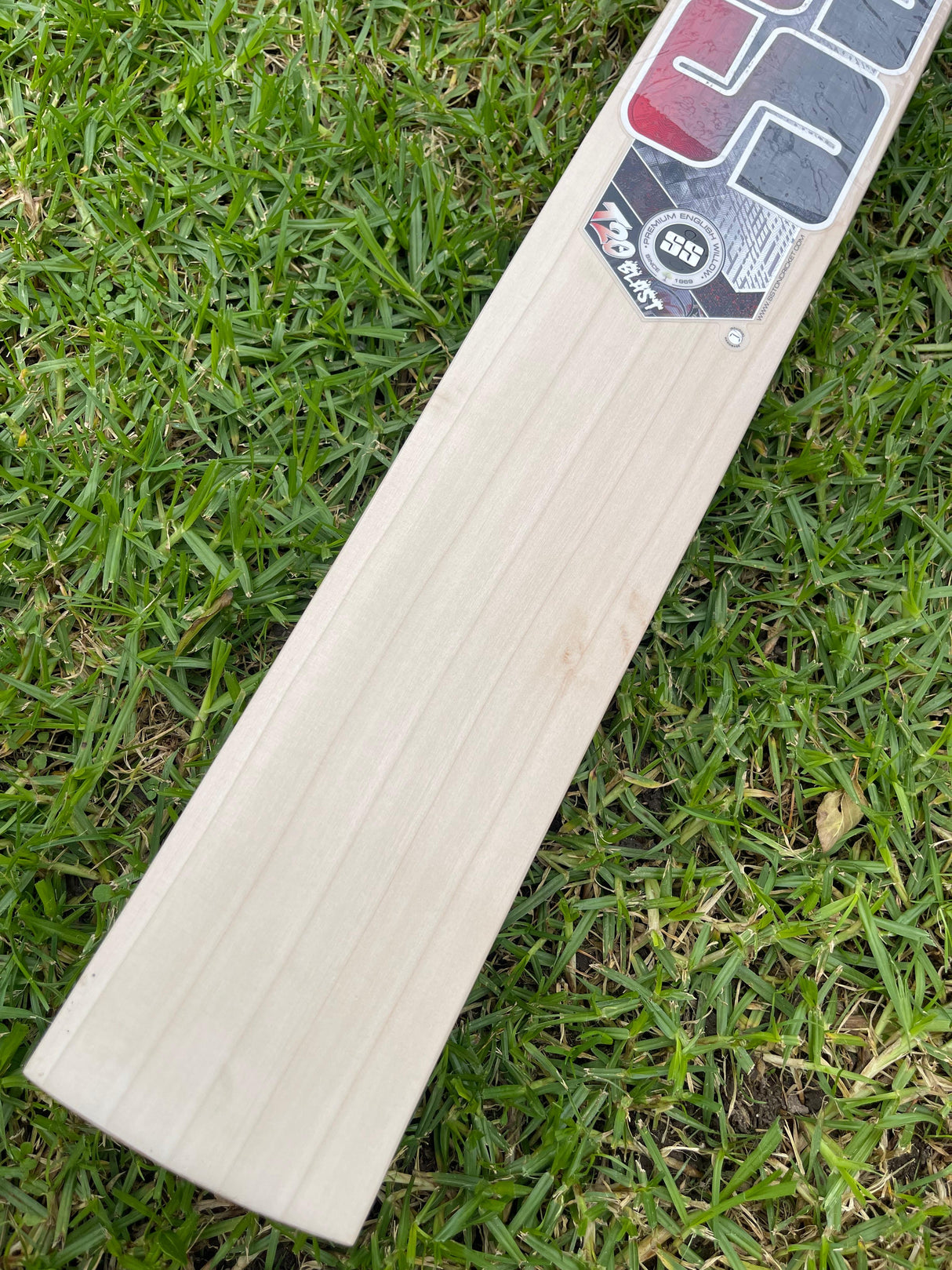 SS T20 Blast Edition English willow Cricket Bat - 6 Grains 1160g - 2.7lb
