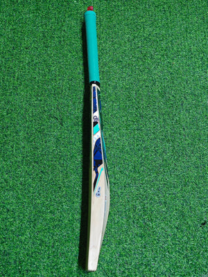 CA PLUS 8000 English Willow Cricket bat-7 Grains-1225g